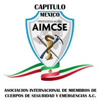 AIMCSE - México logo - Similar company to Spy Legends