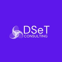 DSeT Consulting Private Limited logo - Similar company to Redintegro Consulting Solutions