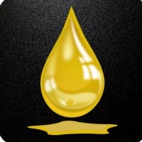 Ornoir Agency logo - Similar company to Fridays For Procurement (Ffp)