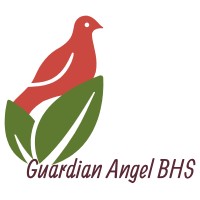 Guardian Angel Billing Company logo - Similar company to Spynergy Consulting
