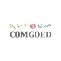 Comgoed logo - Similar company to Th Electricity
