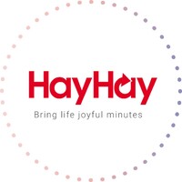 HayHaystudio logo - Similar company to Matech Mobile