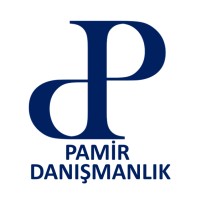 Pamir Consulting logo - Similar company to Consulting