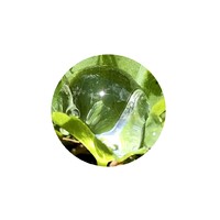 CILAD logo - Similar company to Géonomia