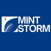 Mint Storm logo - Similar company to Vivid Jets