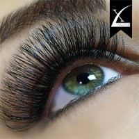Live Love Lash - Lash Studio and Xtreme Lashes Academy of Lash Artistry logo - Similar company to Iashmer