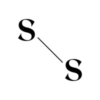 Sisters Clothing logo - Similar company to Oopscool