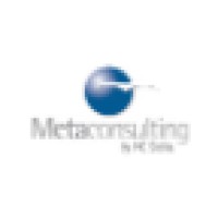Metaconsulting
