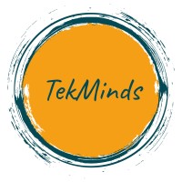 TekMinds International logo - Similar company to Tek Minds Llc