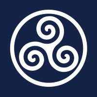 Mesotis Jets logo - Similar company to Discerning Concierge