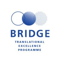BRIDGE – Translational Excellence Programme logo - Similar company to Stacks Journal
