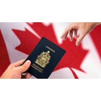 Canada Immigration - Jobs Finder Inc logo - Similar company to Canada Immigration Consultants