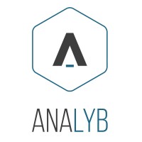 ANALYB logo - Similar company to Value Shield
