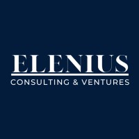 Elenius Consulting & Ventures logo - Similar company to Redi