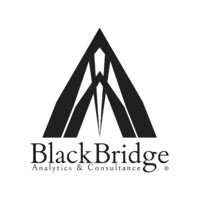 BlackBridge Analytics & Consultance logo - Similar company to Totaltrack