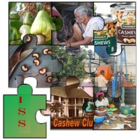 Ingredient Sourcing Solutions logo - Similar company to Sirocco Agro-Industrie