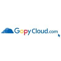 Go Paraguay S.A. logo - Similar company to A.I.R. (Asesoramiento En Informática Y Redes)