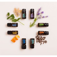 Healing with Essential Oils logo - Similar company to Essential Oils - Ouahada