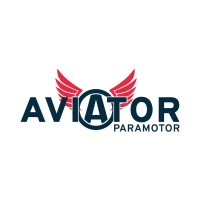 Aviator PPG logo - Similar company to Allsikes