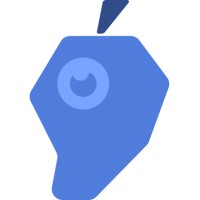 Mangoeyes Digital logo - Similar company to Stelle