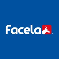 Grupo Facela logo - Similar company to Soltic