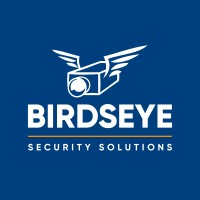 Birdseye Security Solutions logo - Similar company to Birdseye