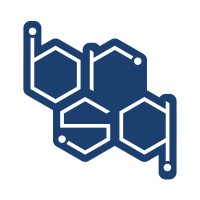 Brain Square Solutions logo - Similar company to Technobrains