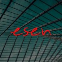 Esen Cons LTD. logo - Similar company to Punto Engineering