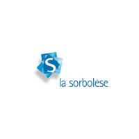 Vetreria La Sorbolese S.r.l. logo - Similar company to Mastec Srl