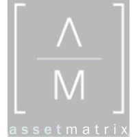 Asset Matrix logo - Similar company to Assetmetrix