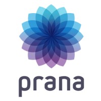 Prana Digital logo - Similar company to Comunicatto Negócios Digitais