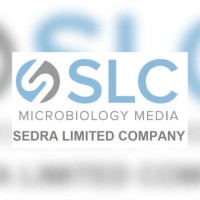 Sedra limited company logo - Similar company to Industrial Development Services