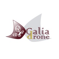 Dgaliadrone logo - Similar company to Blowertechnic