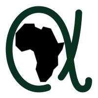 Digitally Freed Africa | Digital Marketing & Advertising logo - Similar company to Bumarse