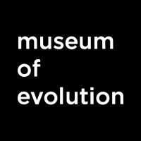Museum of Evolution logo
