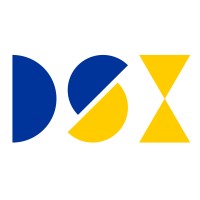 DSX Deine Sicherheitsexperten logo - Similar company to Kunesch Consulting Zt Gmbh