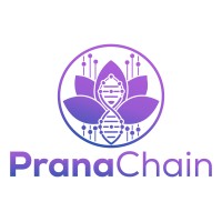 Pranachain logo - Similar company to Clanflare