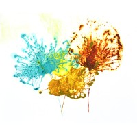 Heba company Page logo - Similar company to Heba Company