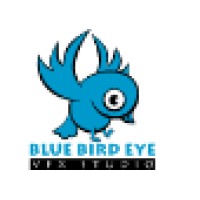 Blue Bird Eye Vfx Studio
