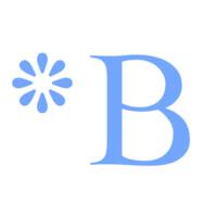 Brightwork Research & Analysis logo - Similar company to Datafleet