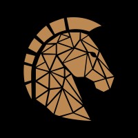 TROYIA logo - Similar company to The Idea Galaxy