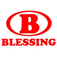 Blessing Petroleum SA logo - Similar company to Snh
