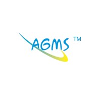 Amar Global Management Services logo - Similar company to Flyingo International