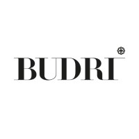 Budri logo - Similar company to Mestieri