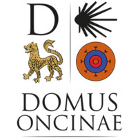 DOMUS ONCINAE SA logo - Similar company to 011. Project