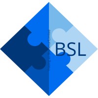 BSL Assist logo - Similar company to Bsl Assist Ltd