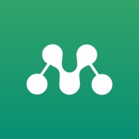 Monetizer.com logo - Similar company to Step2Digital