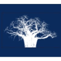 Pan African Capital Group, LLC logo - Similar company to B Global By Design