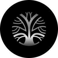 Silver Tree Trade Systems logo - Similar company to Cloudinsight