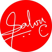 Salvy VentureCorp logo - Similar company to Premium Ecommerce Support Services